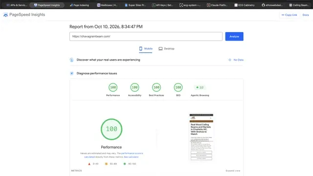 Google PageSpeed Insights report showing a mobile performance score of 100 for a service business website