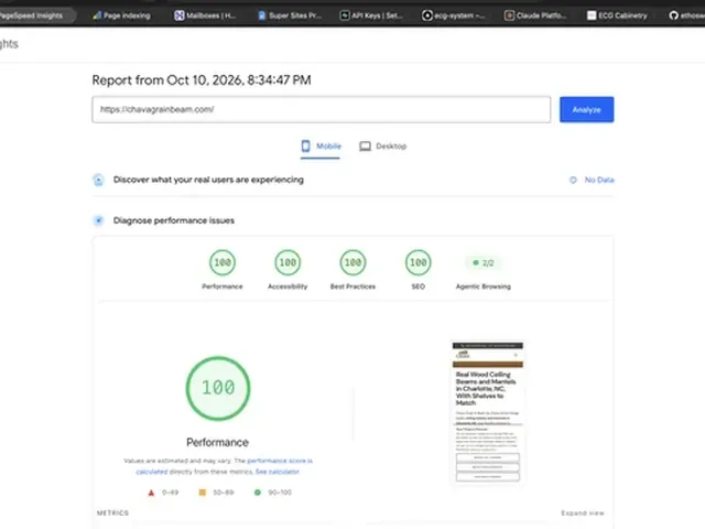 PageSpeed Insights report with scores of 100 for performance, accessibility, best practices and SEO