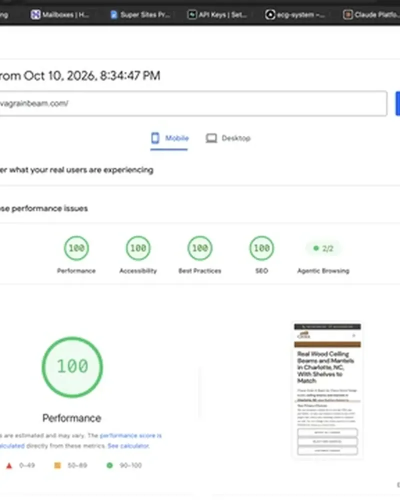 Close view of a performance score of 100 in a Google PageSpeed report